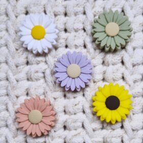 Gänseblümchen Groß